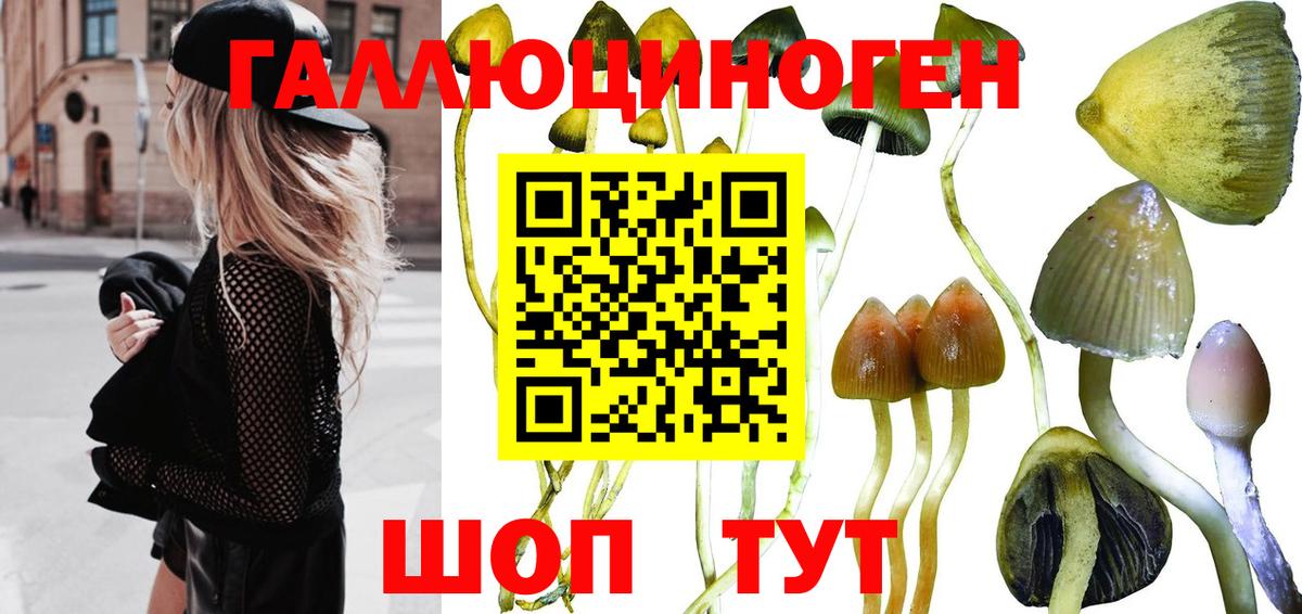 Галлюциногенные грибы Psilocybine cubensis  Псилоцибиновые грибы Magic Shrooms  Лениногорск  Вход с VPN 